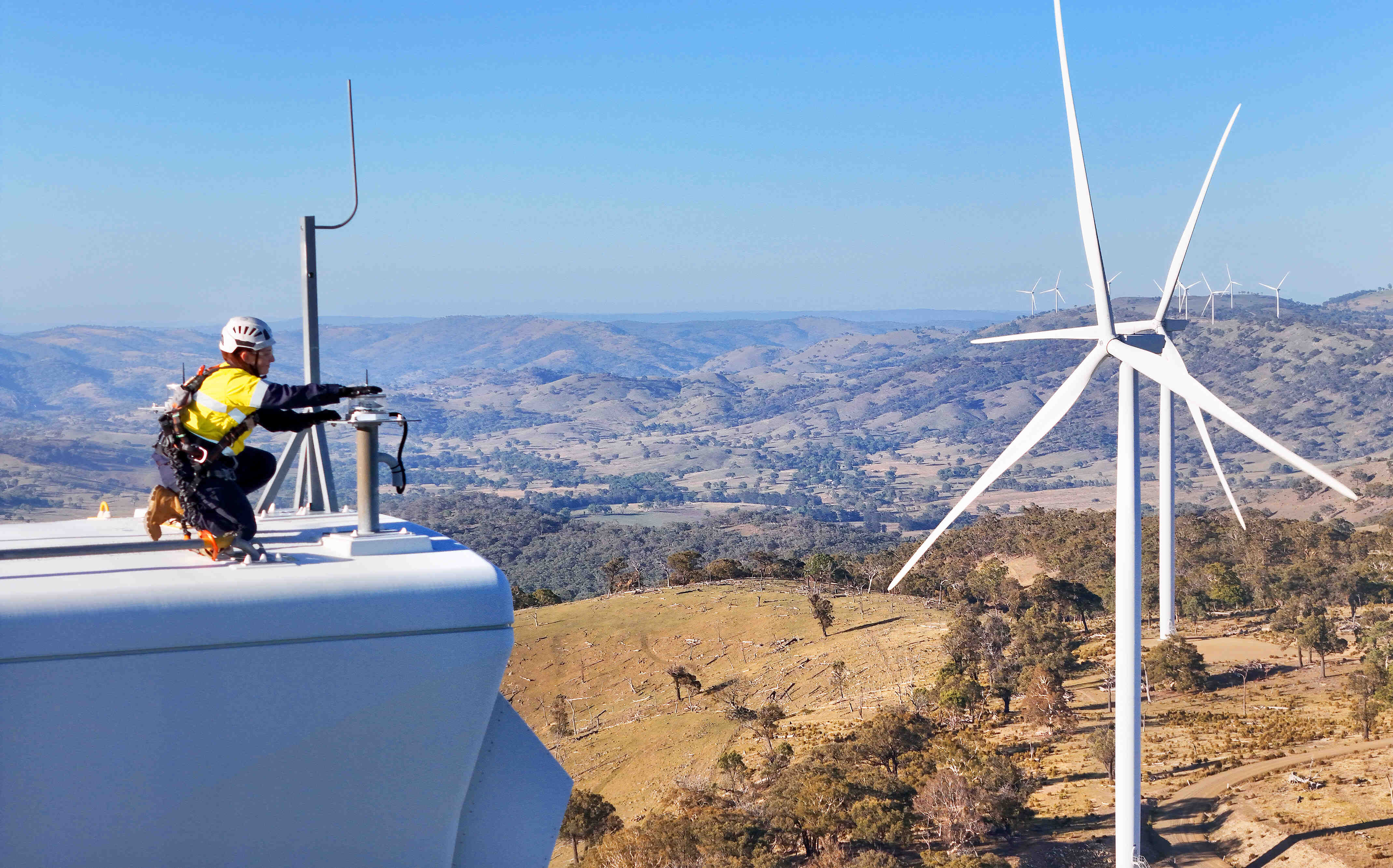 Wind Farm - EnergyCo